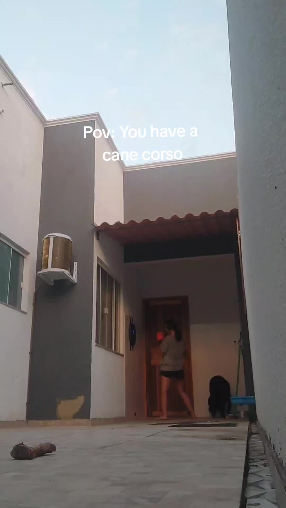@Paula.P.O