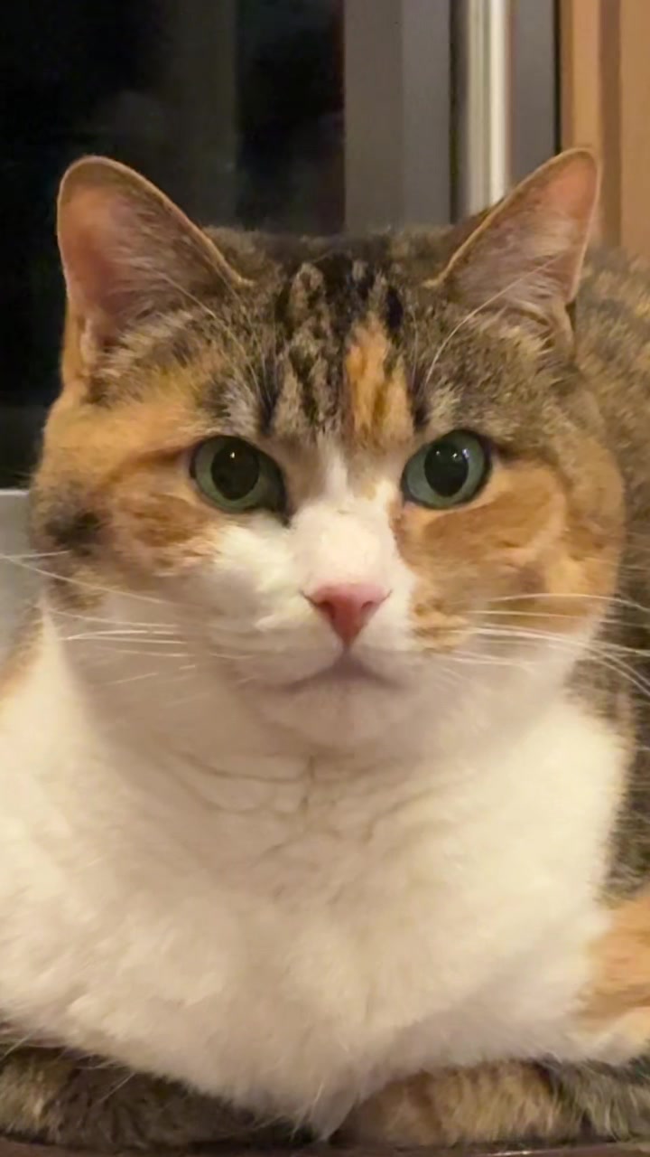 @RiceandWeird