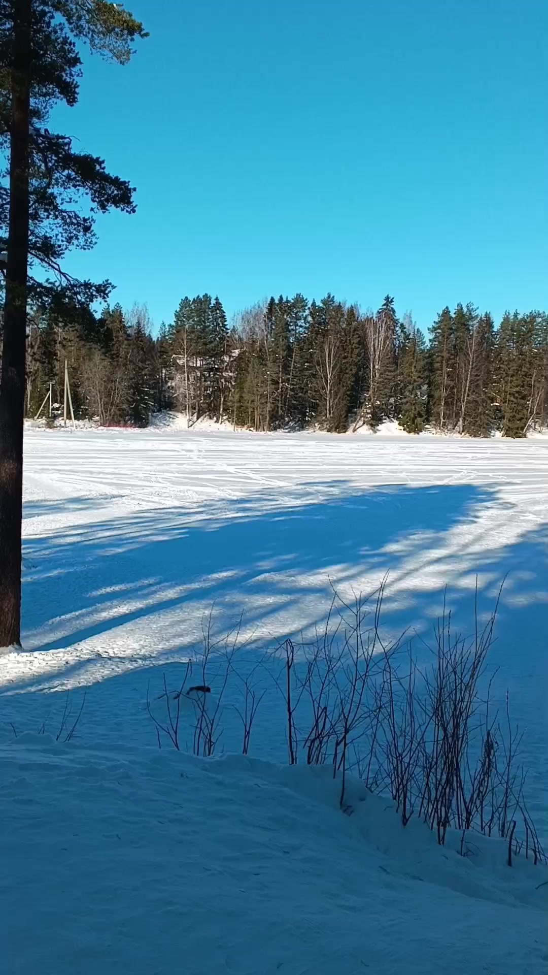 @Антон