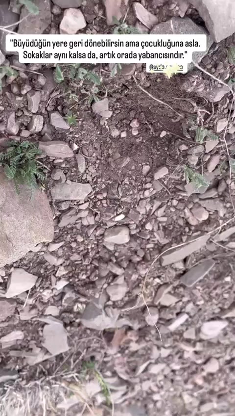 @hayaldenizi