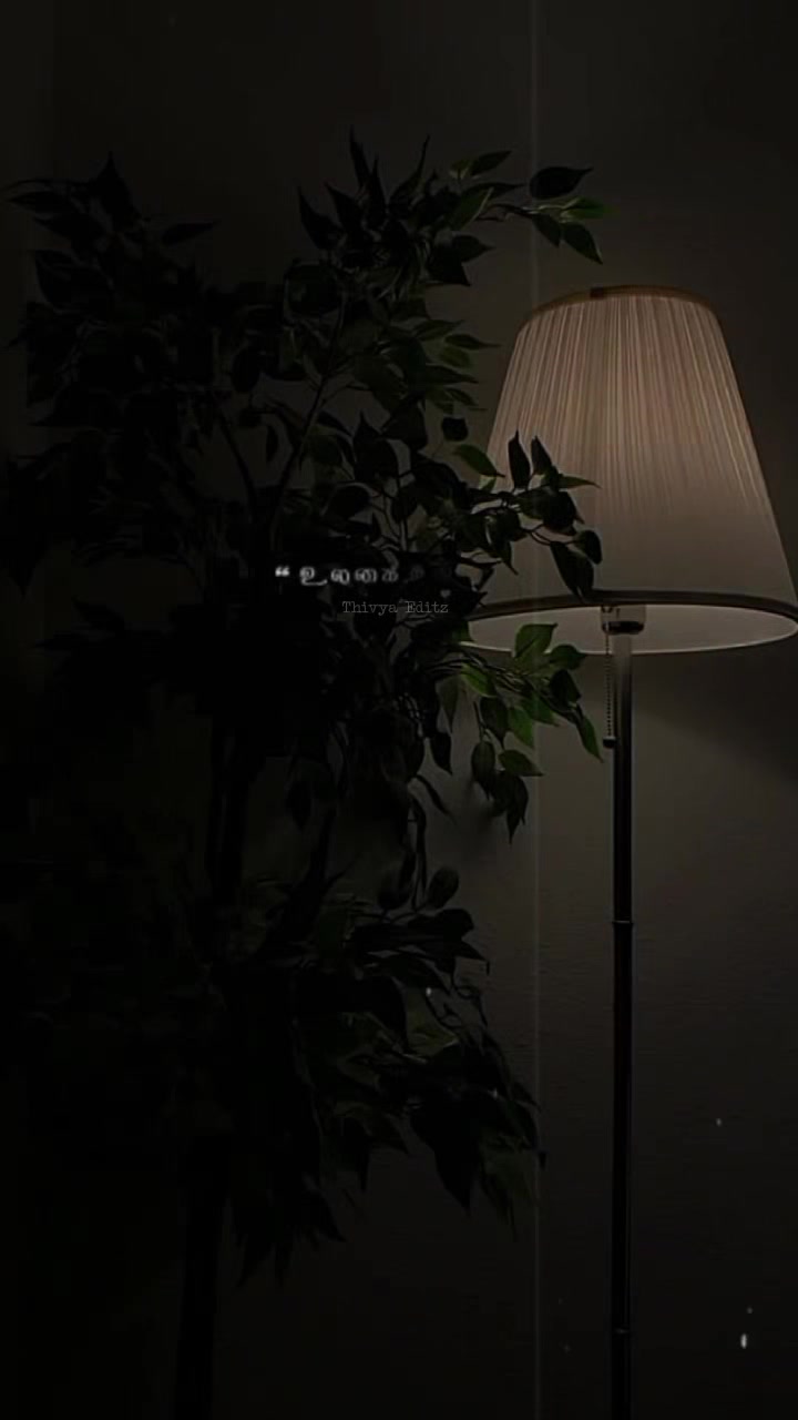 @𝐓𝐡𝐢𝐯𝐲𝐚 𝐄𝐝𝐢𝐭𝐳