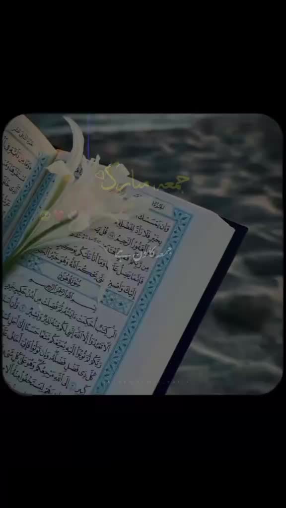 @❤Islamic Video 🖤