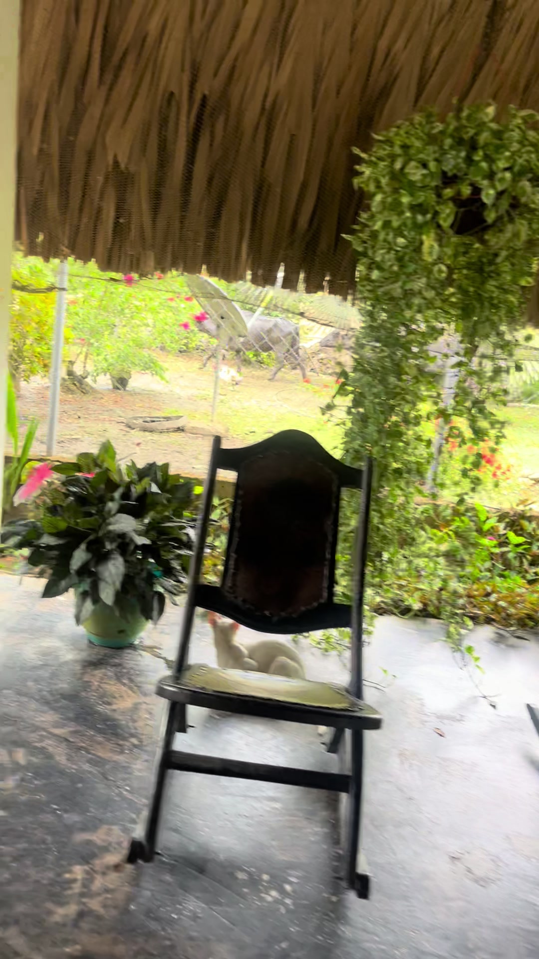 @Vanessa! 🐼🇨🇴