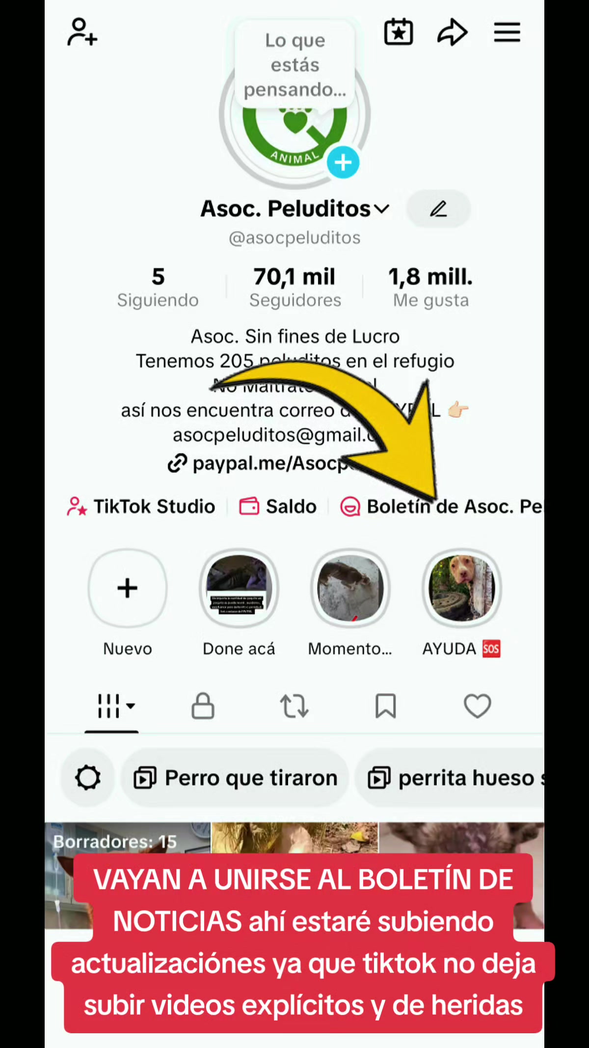 @Asoc. Peluditos