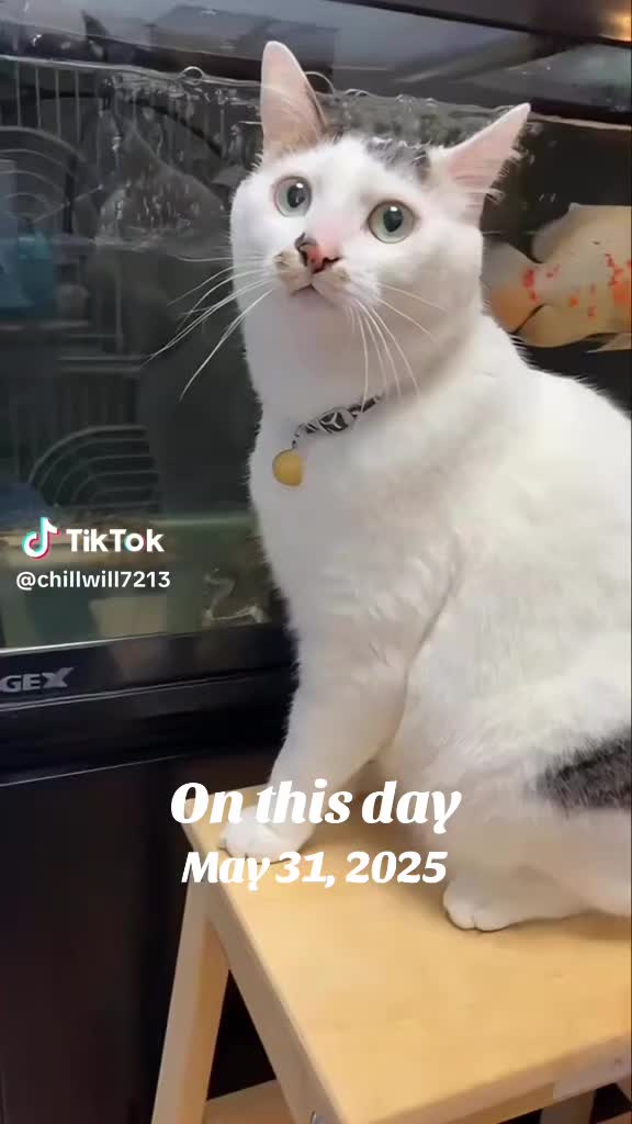 @Lorimac71