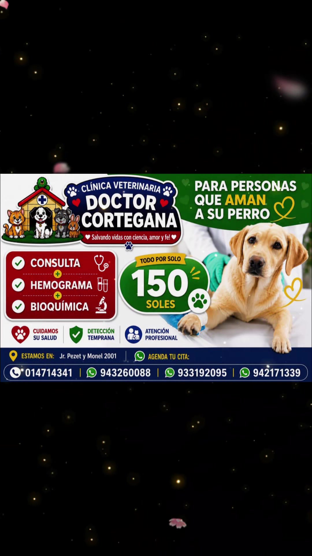 @VETERINARIA DR. CORTEGANA
