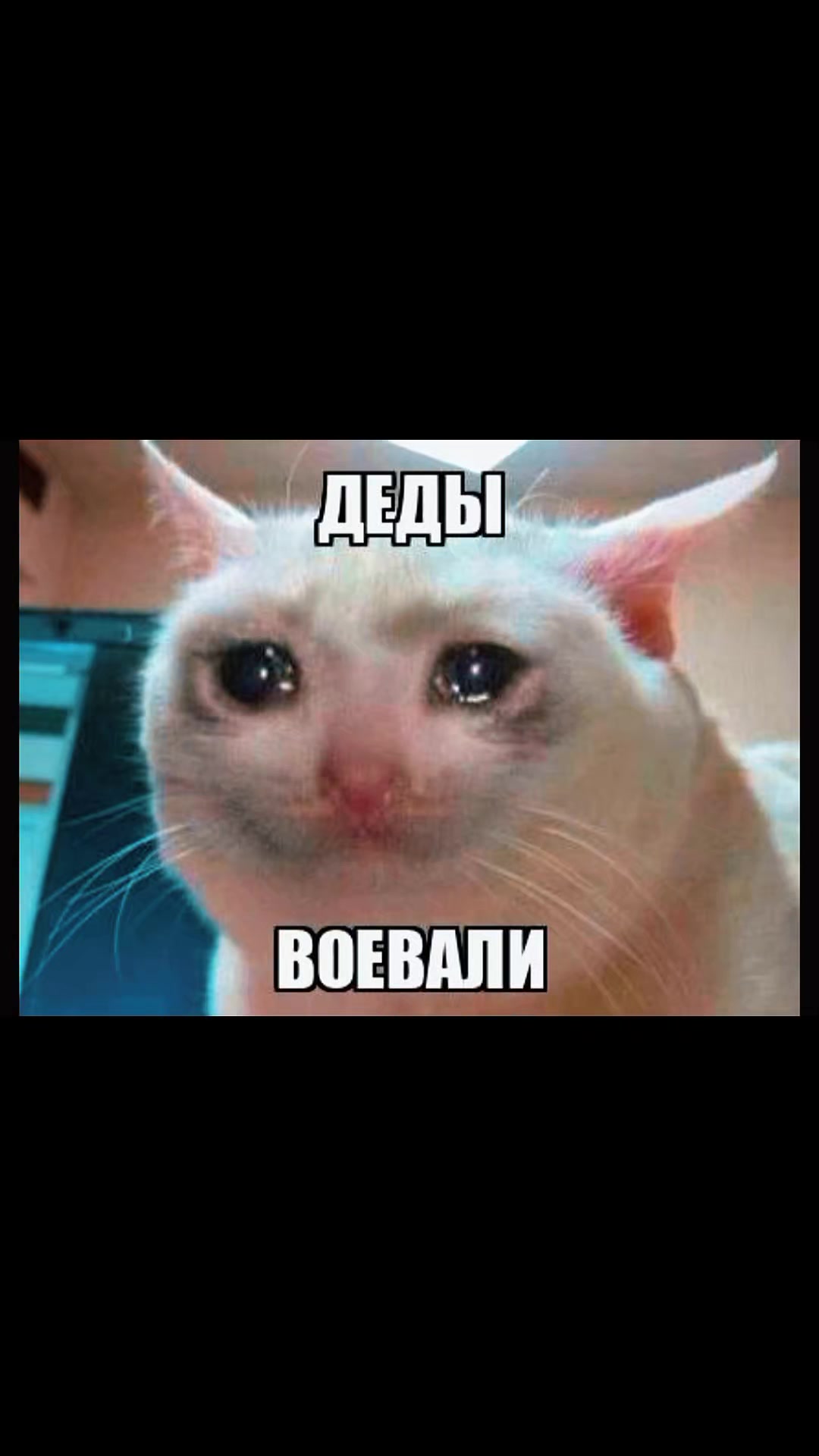 @ZombiKraft