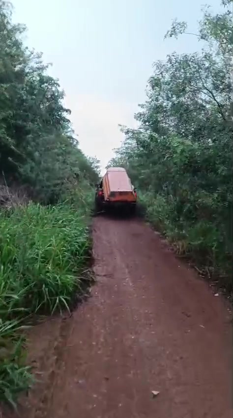 @Elii🐆