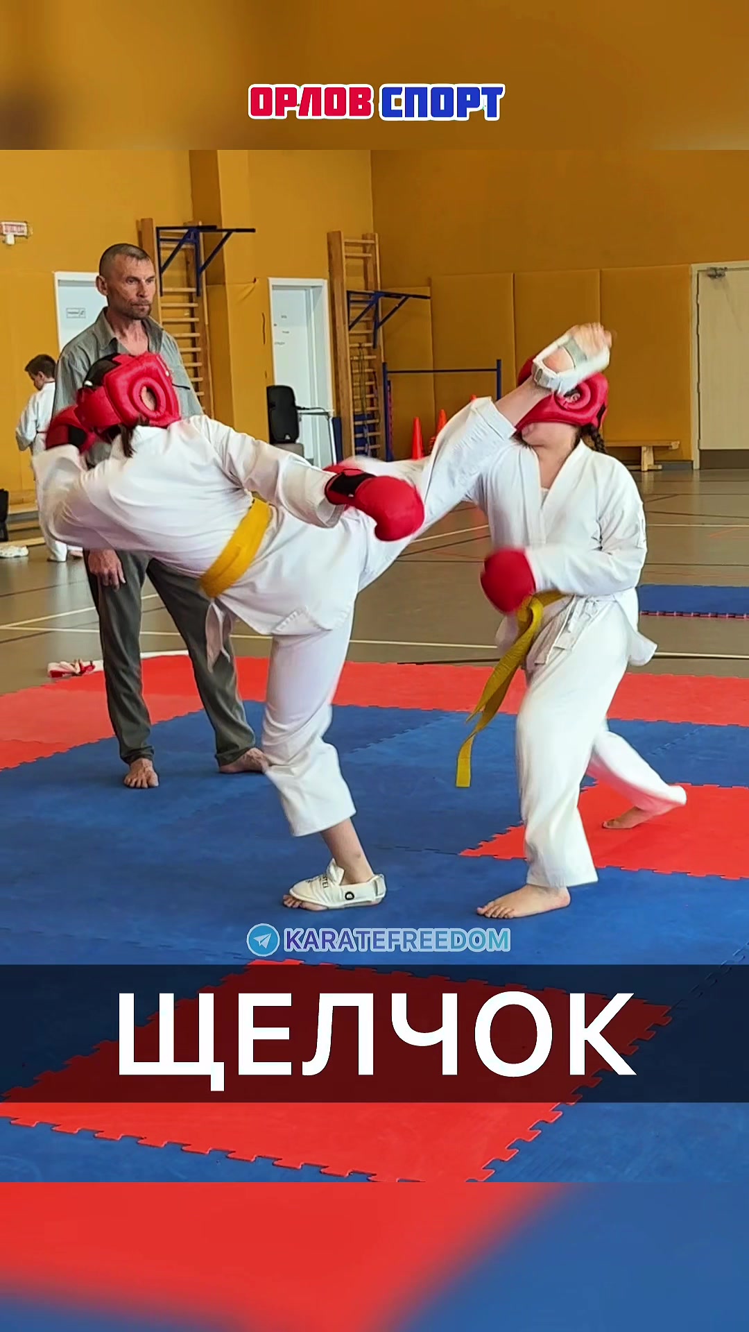 @ORLOVSPORT