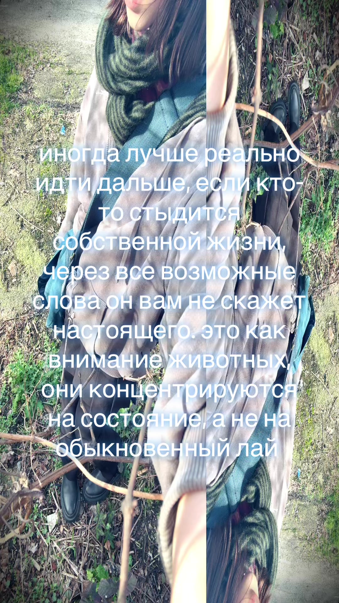 @рен 🎪