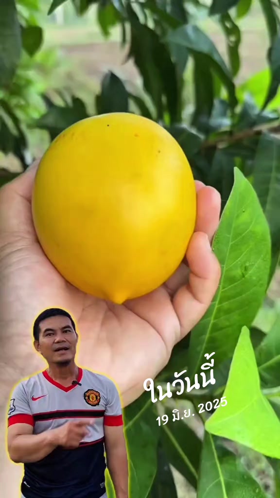 @Konloy
