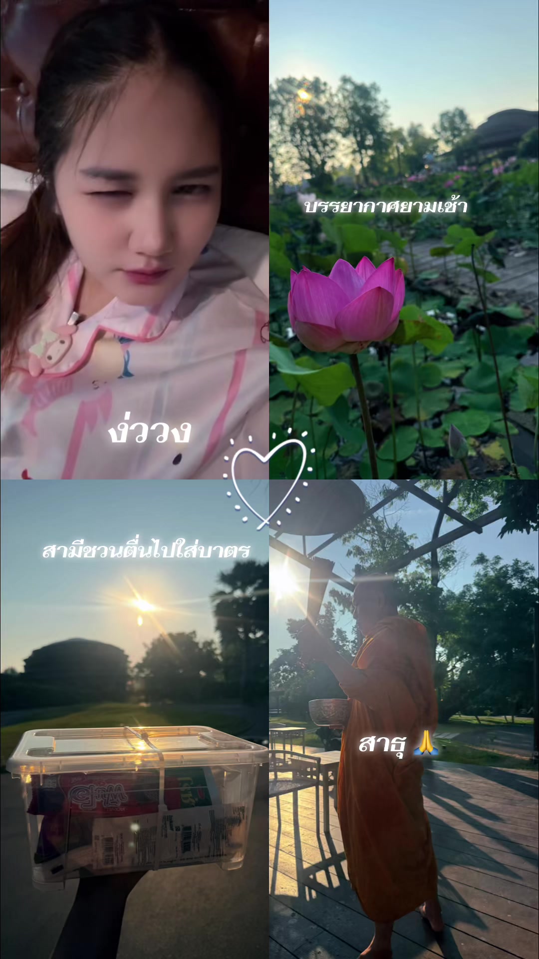 @พิชชี่ที่มีลูกเป็นแมว💗🐈⬛