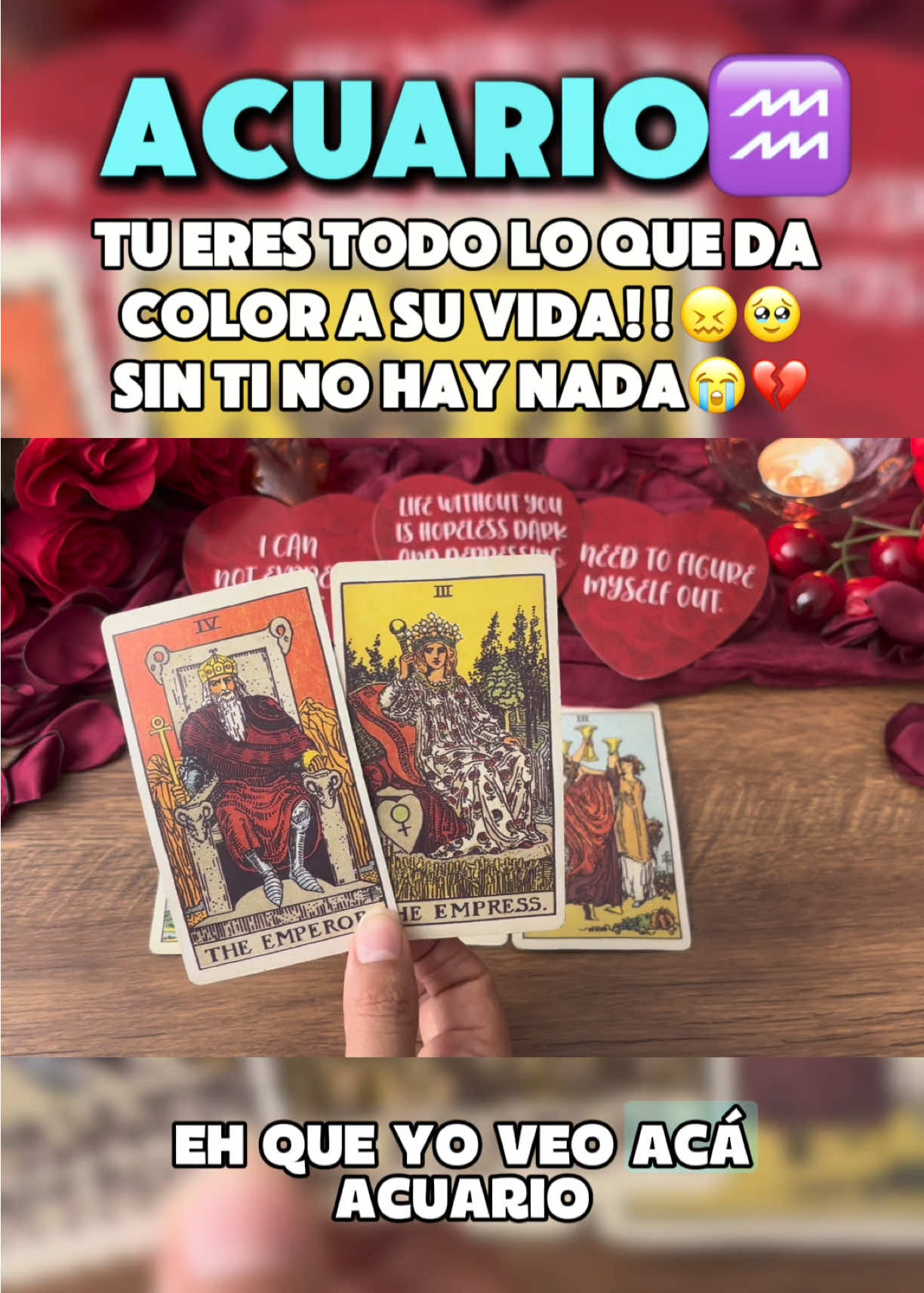 @Andy Sun Tarot ☀️
