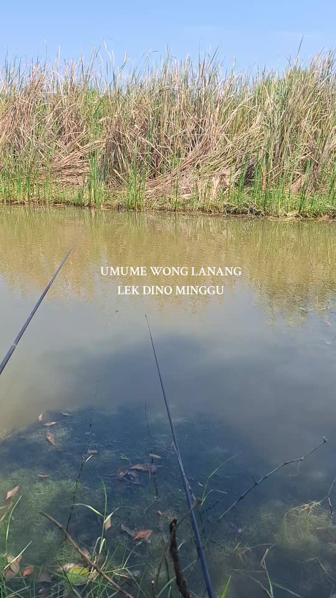 @ใใ ๐
๐ท๐ด๐
๐ฐ๐
๐ด๐ฐ ใใ