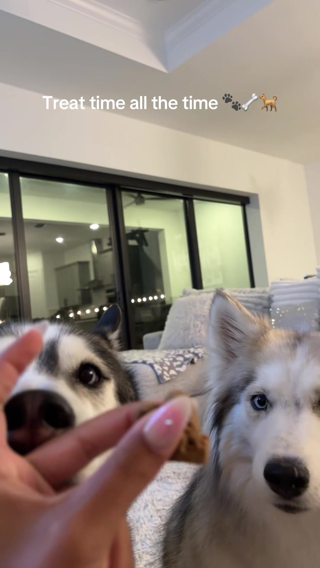 @lifewith2huskies
