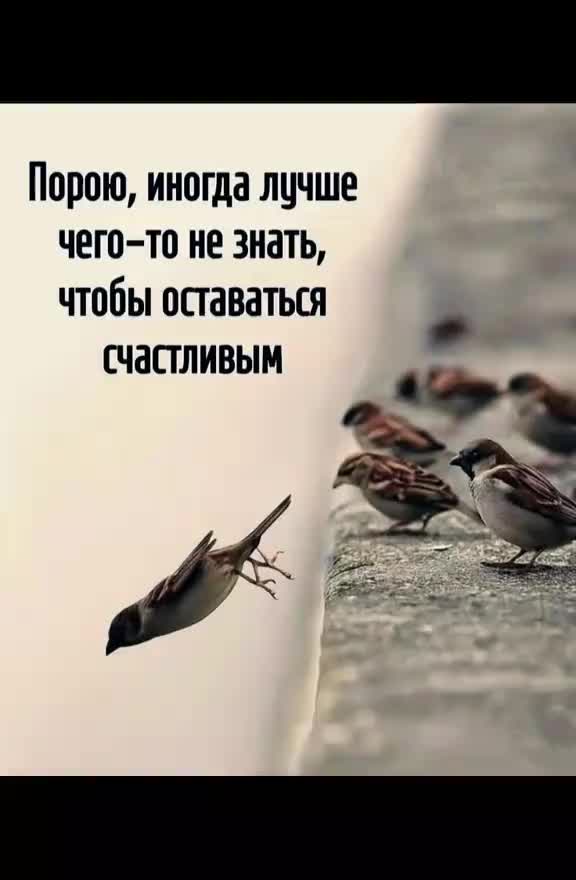 @Оксана