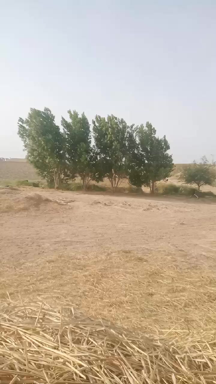 @راٺوڙ صاحب Ramoo 🥀🥀🌹Jan