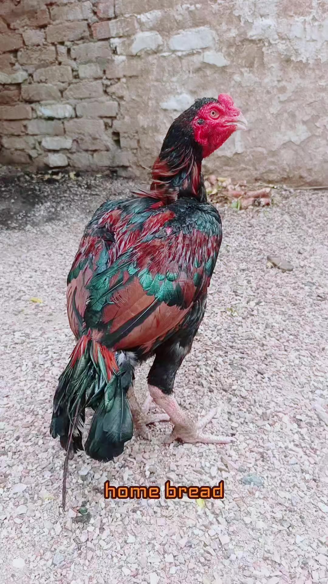 @CHOTA.نواب