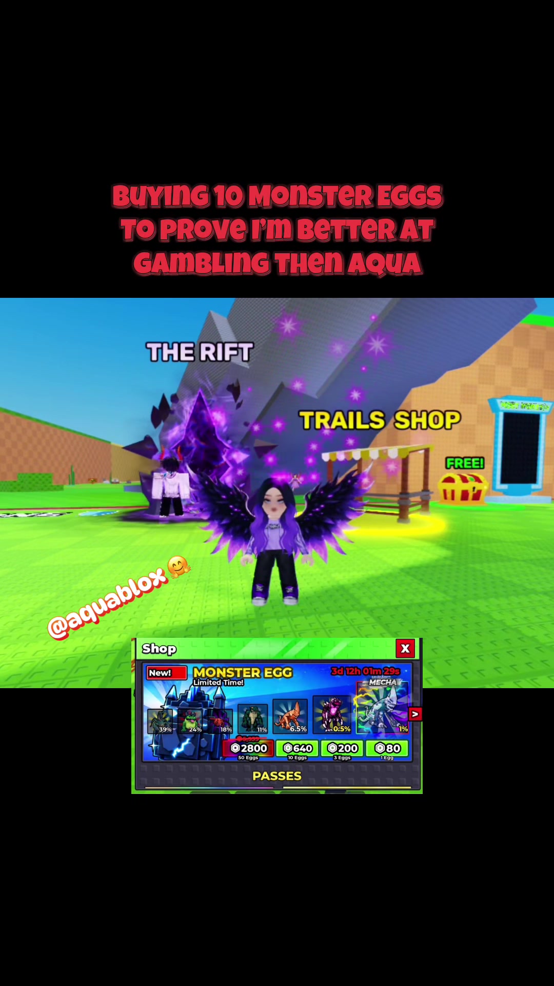 @TheRobloxMom