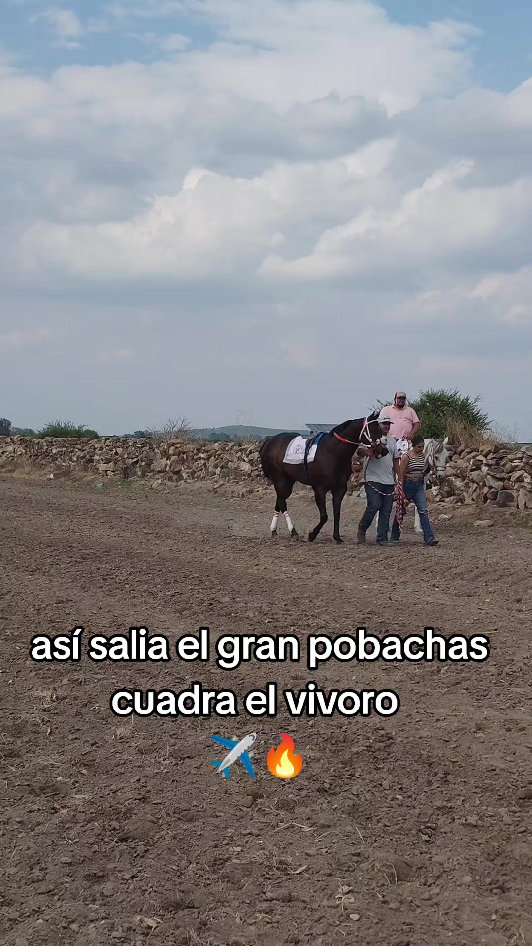 @carriles altos de jalisco🐎
