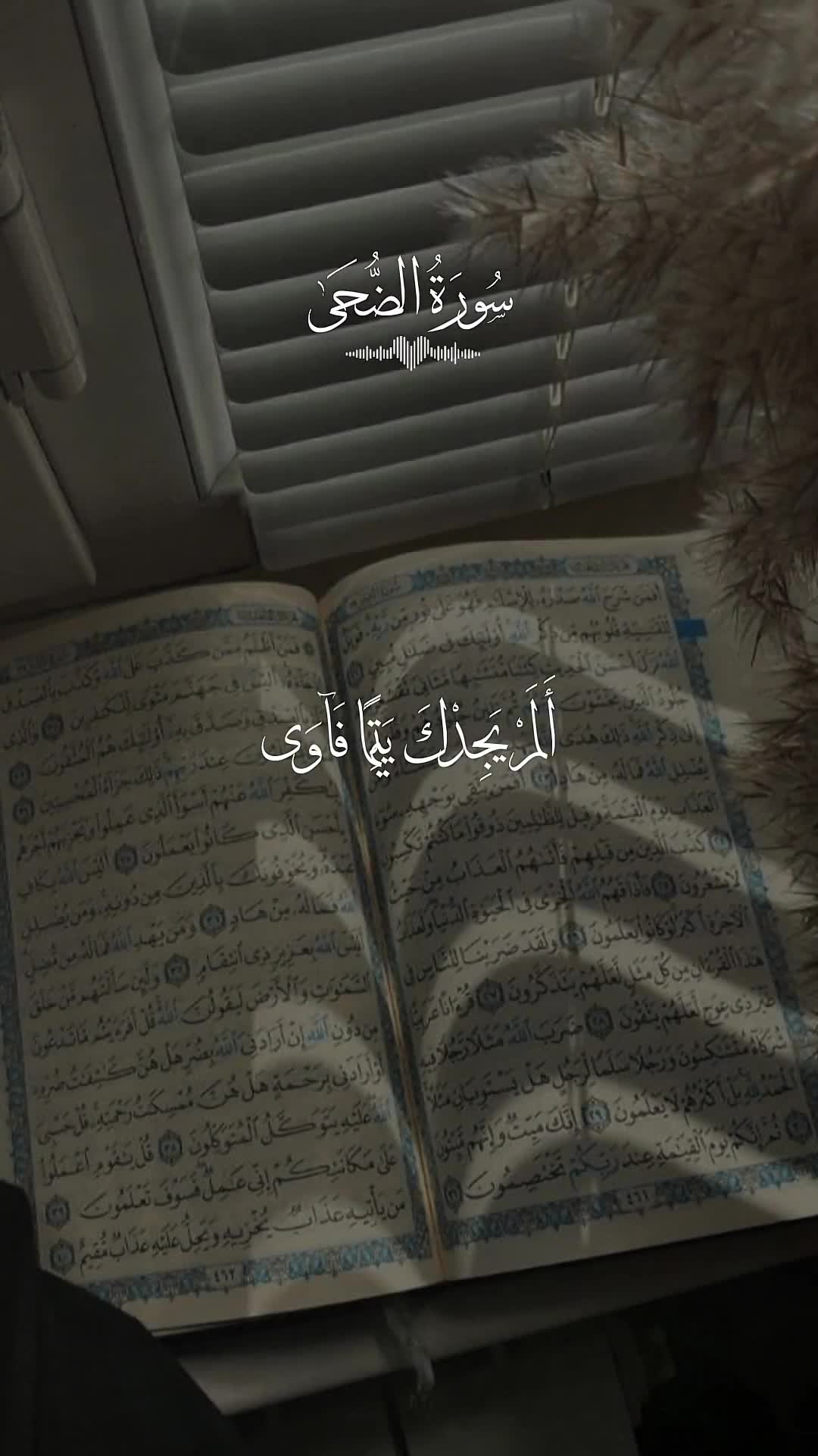 @𓆩𝓝𝓪𝓭𝓸𝓸𝓻𓆪