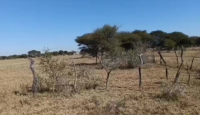 @Larona Kgwefane
