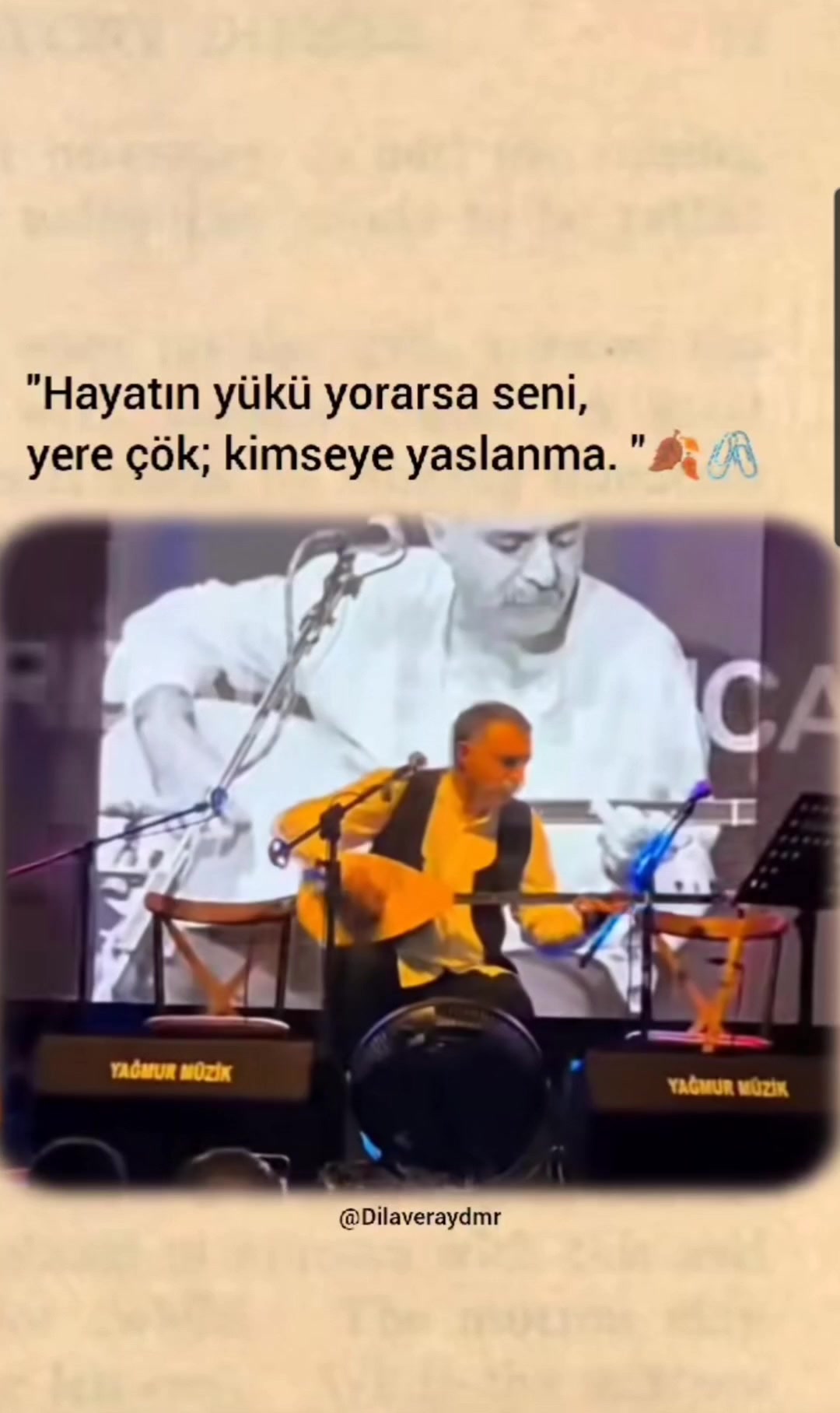 @sedat