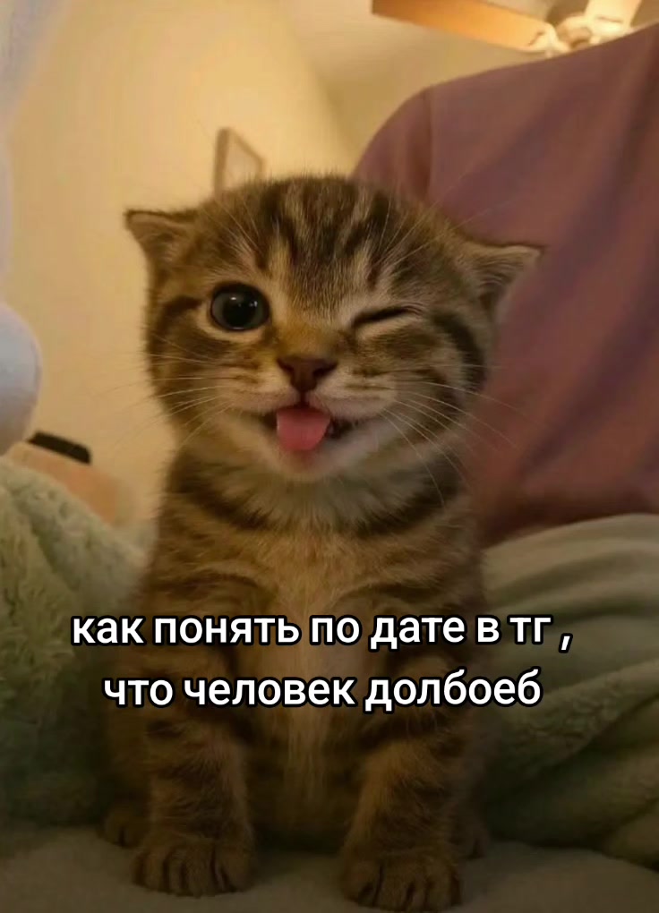 @𝓐𝓷𝓰𝓮𝓵 🍓🪽