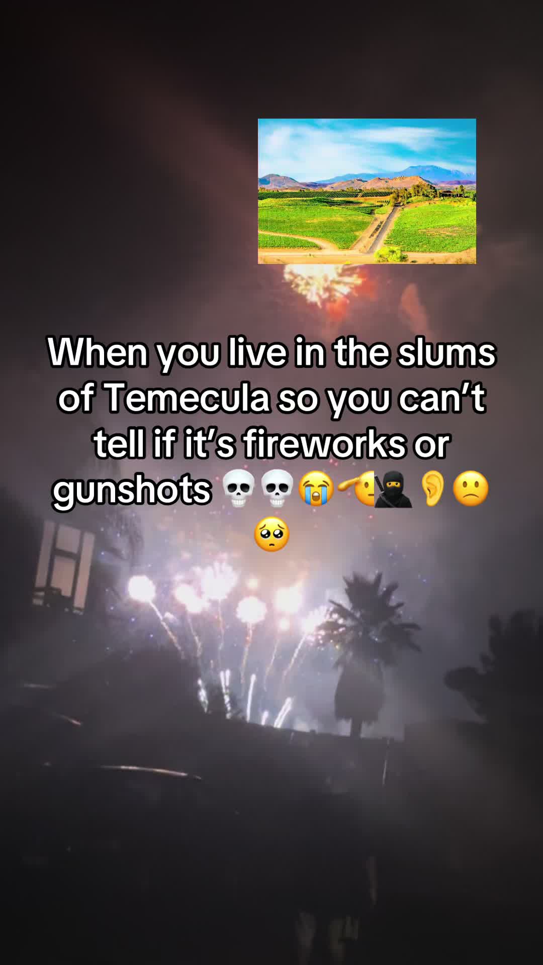@dingus