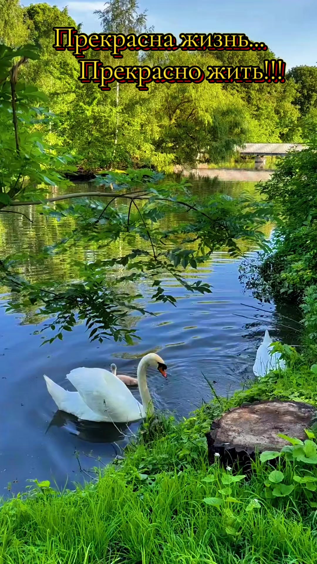 @Марина