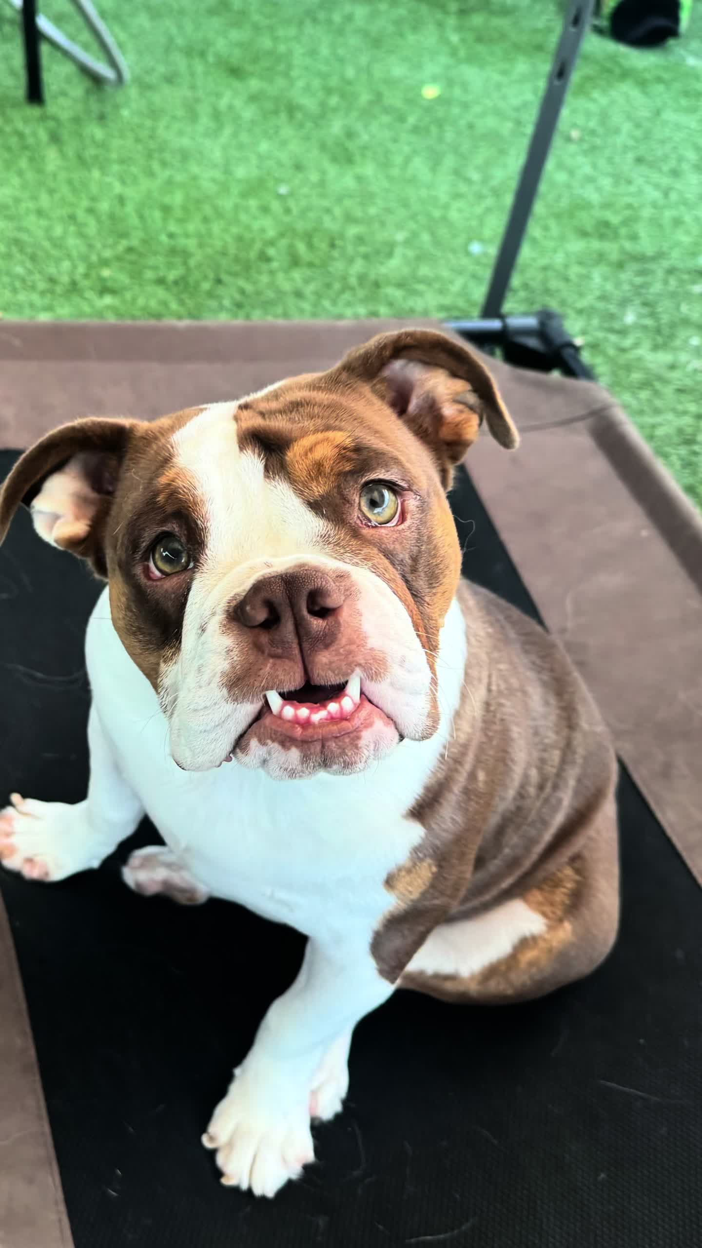 @love_my_spawn