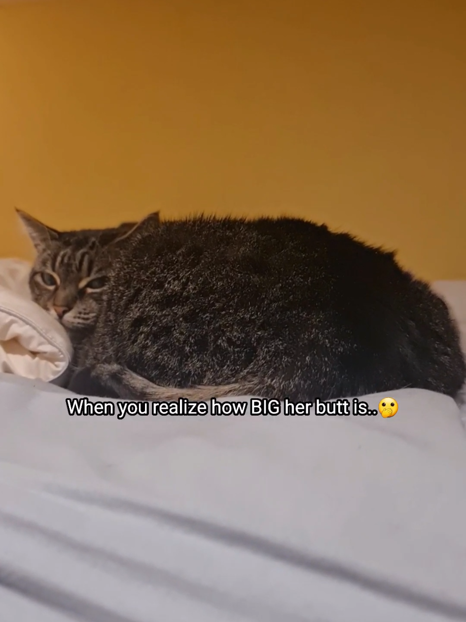 @PhoebeinWonder