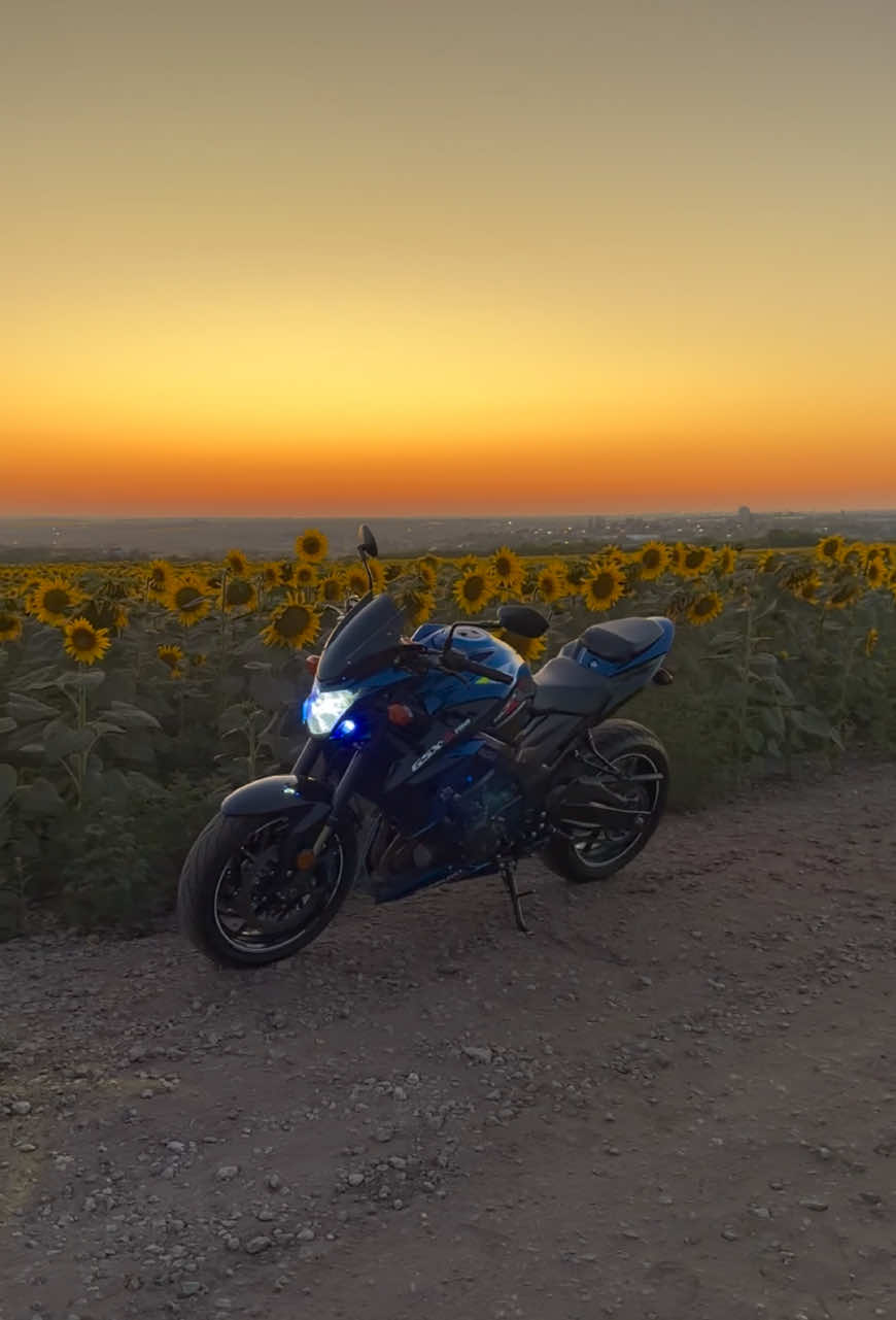 @Ростислав Бринза 🇺🇦 🚜 🌾