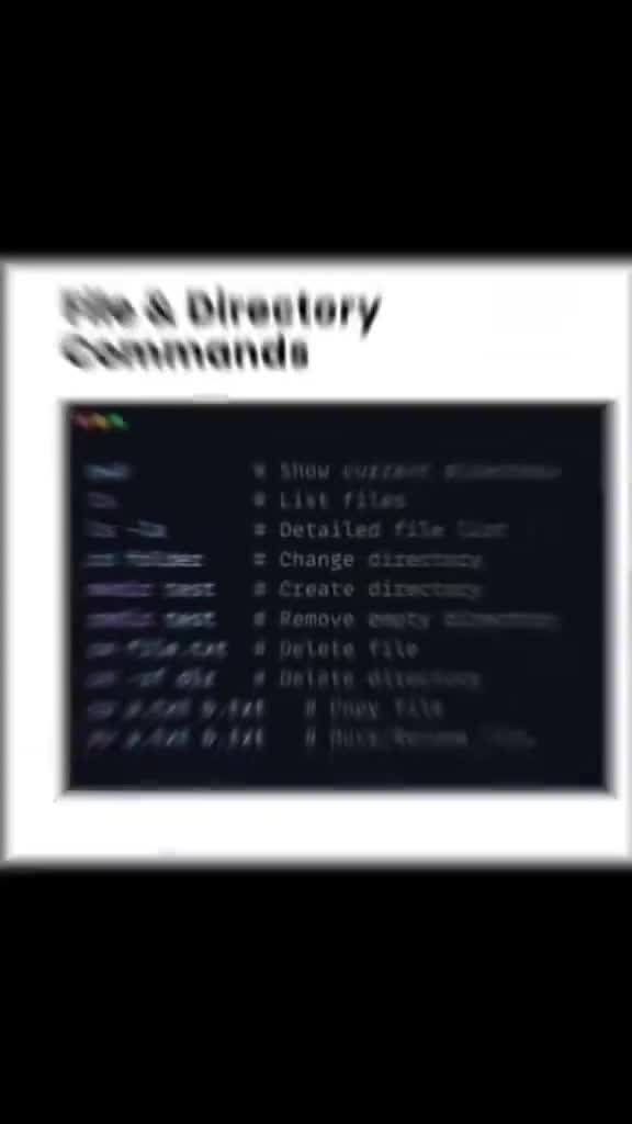 @🖥️ 𝑷𝒓𝒊𝒏𝒄𝒆𝑪𝒐𝒅𝒆𝒓 🖥️