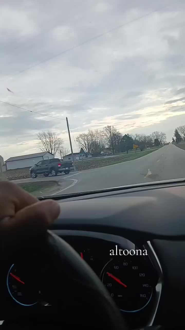 @el de la tacoma
