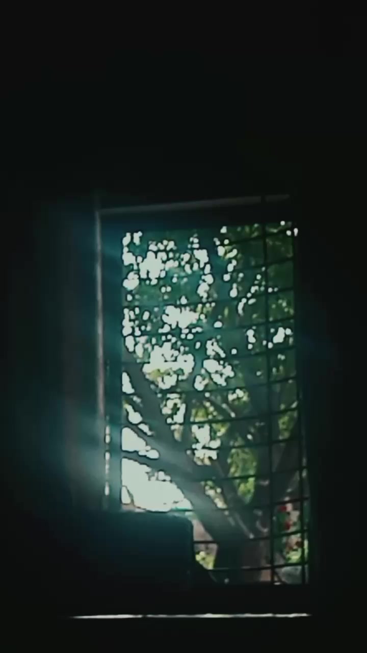@🚩