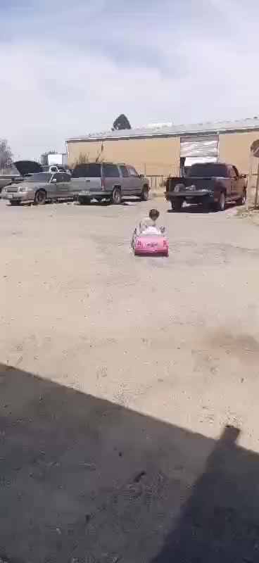 @queen_sparky