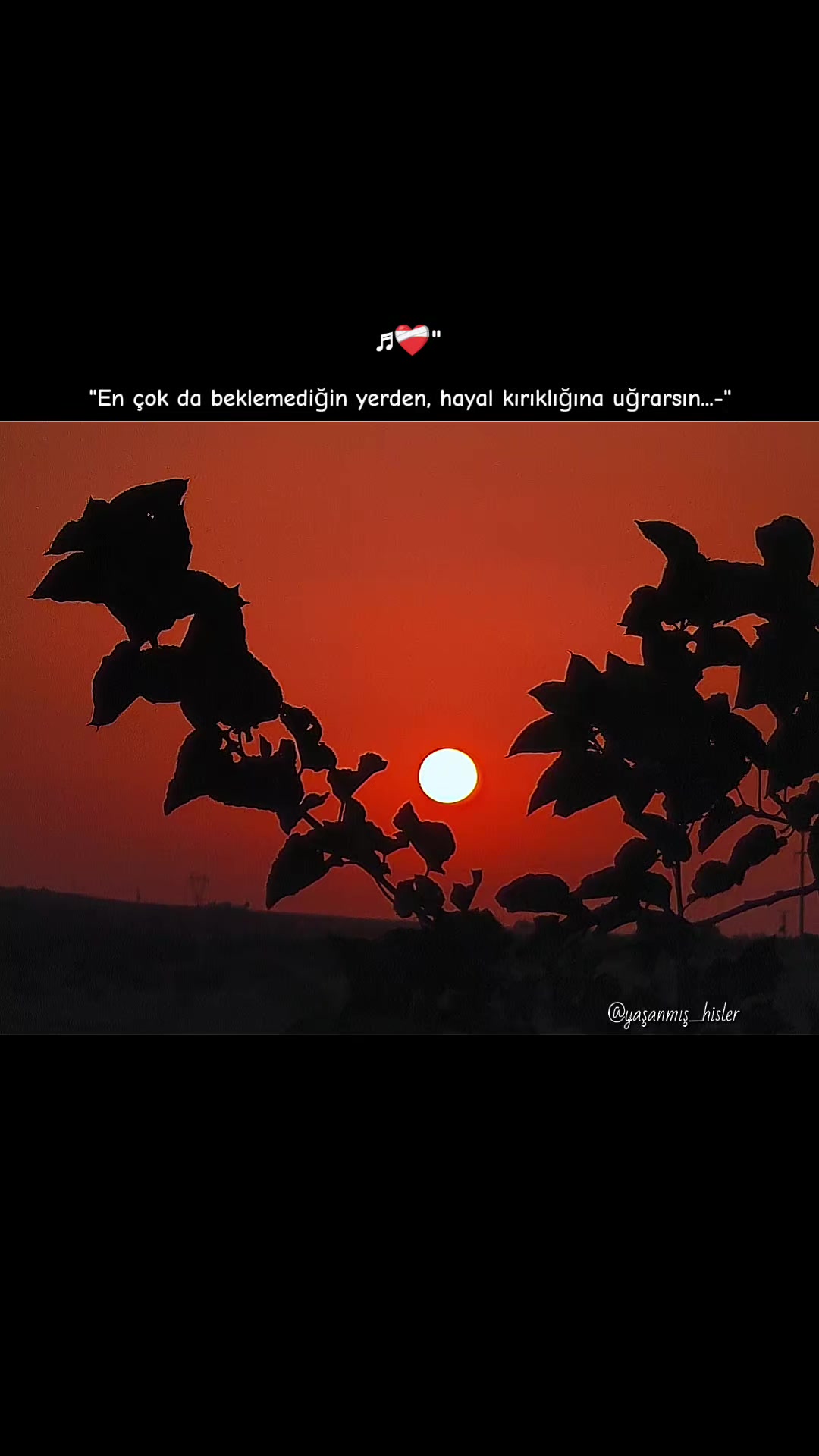 @•ʏᴀꜱ̧ᴀɴᴍɪꜱ̧ ʜɪ̇ꜱʟᴇʀ•