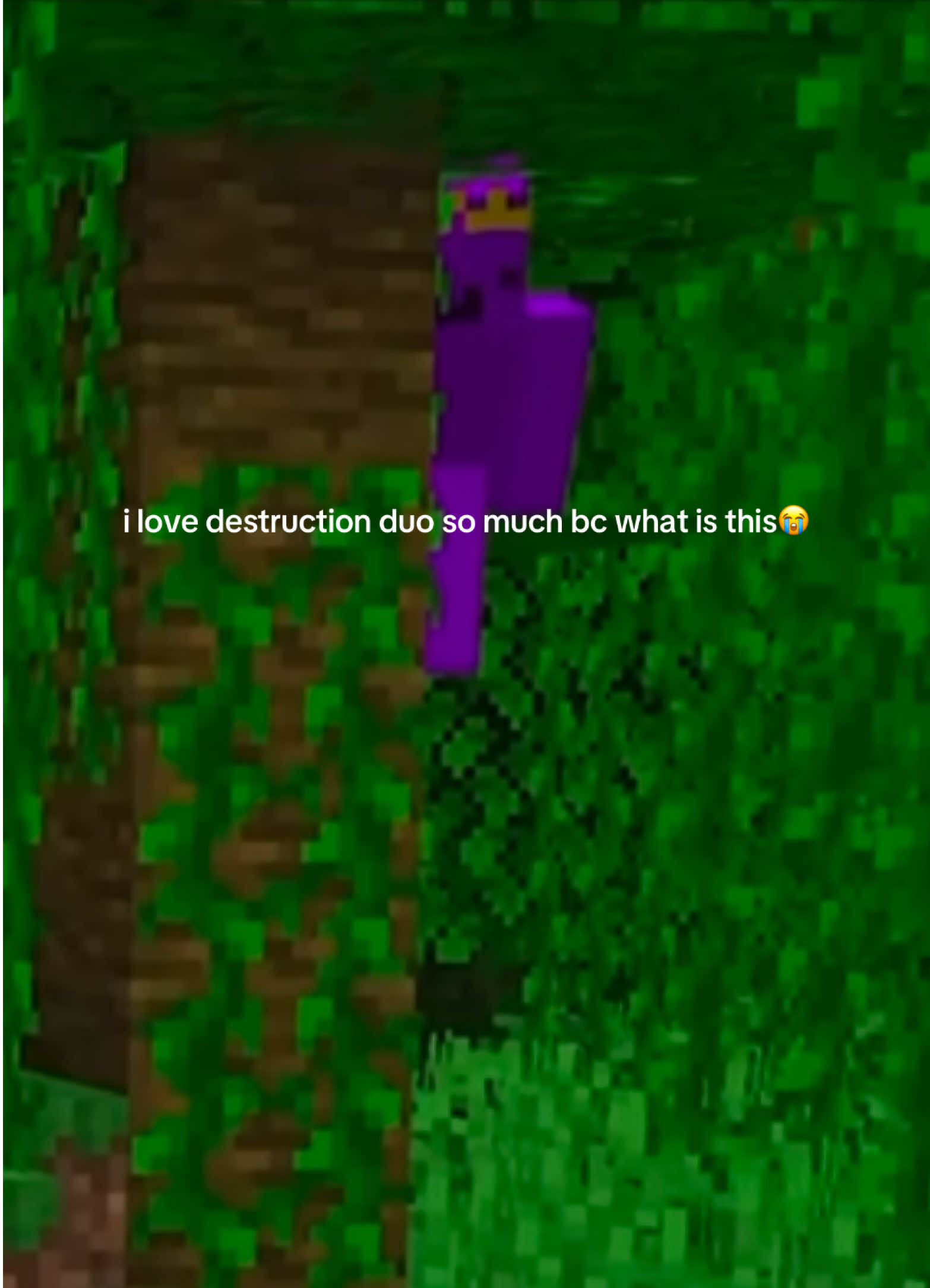 @amelia ౨ৎ
