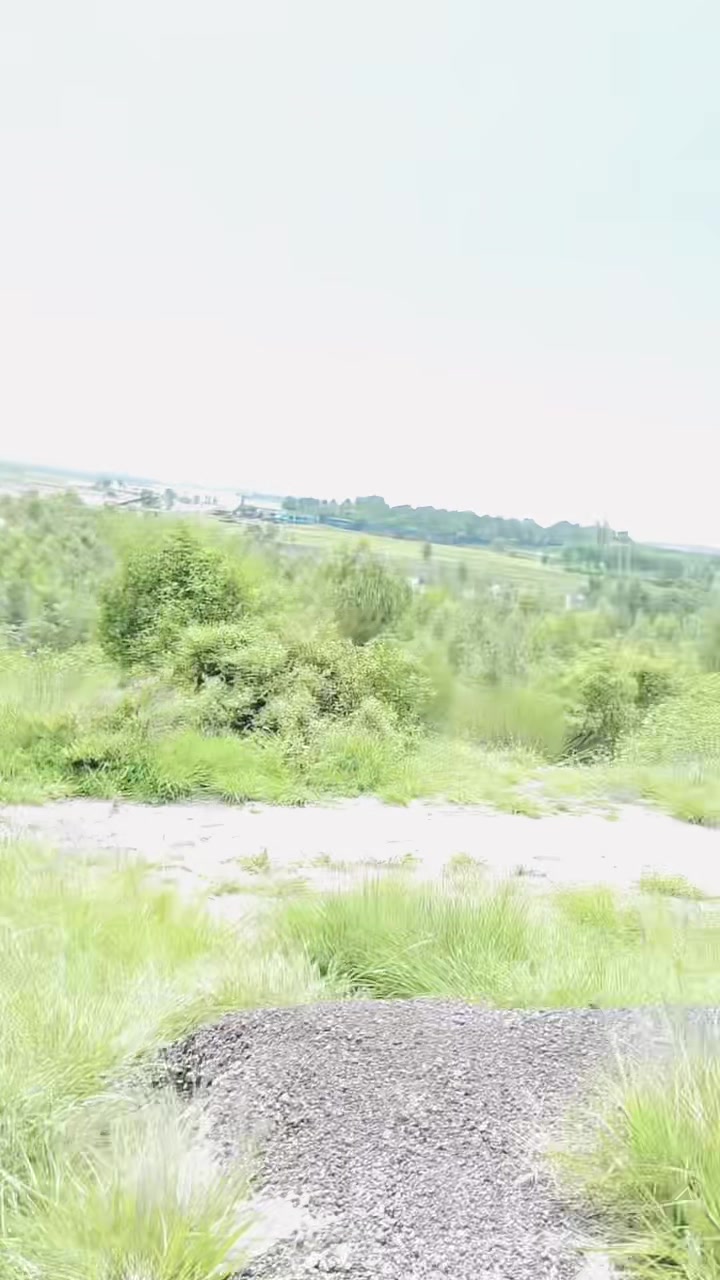 @Ihsan Ullah