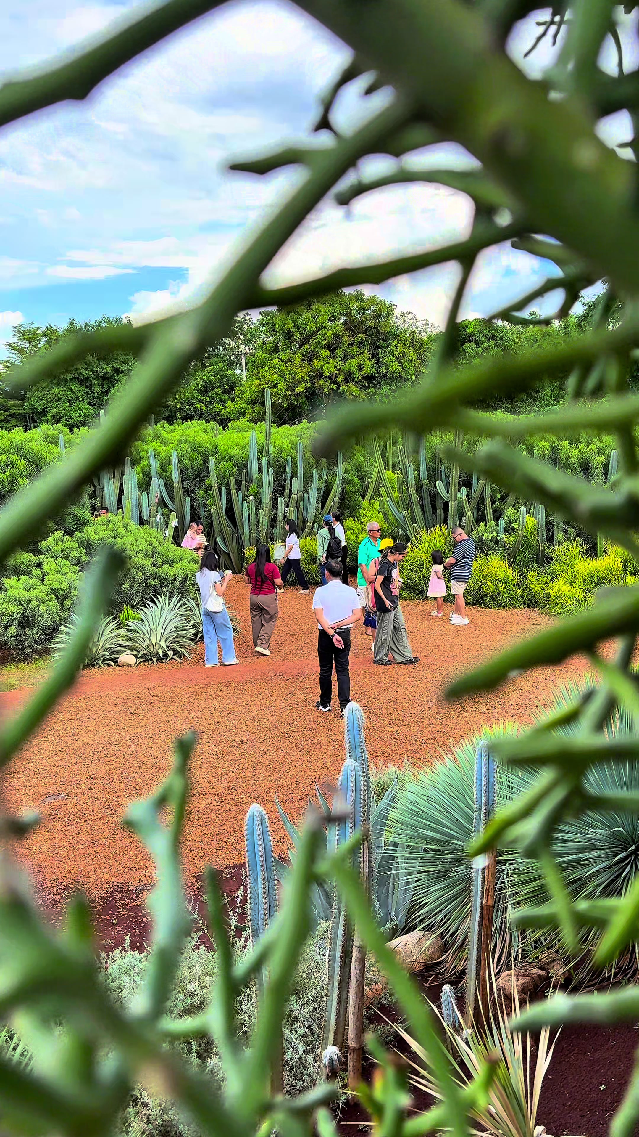 @ไร่วันยังขำ Oneyoungkham farm