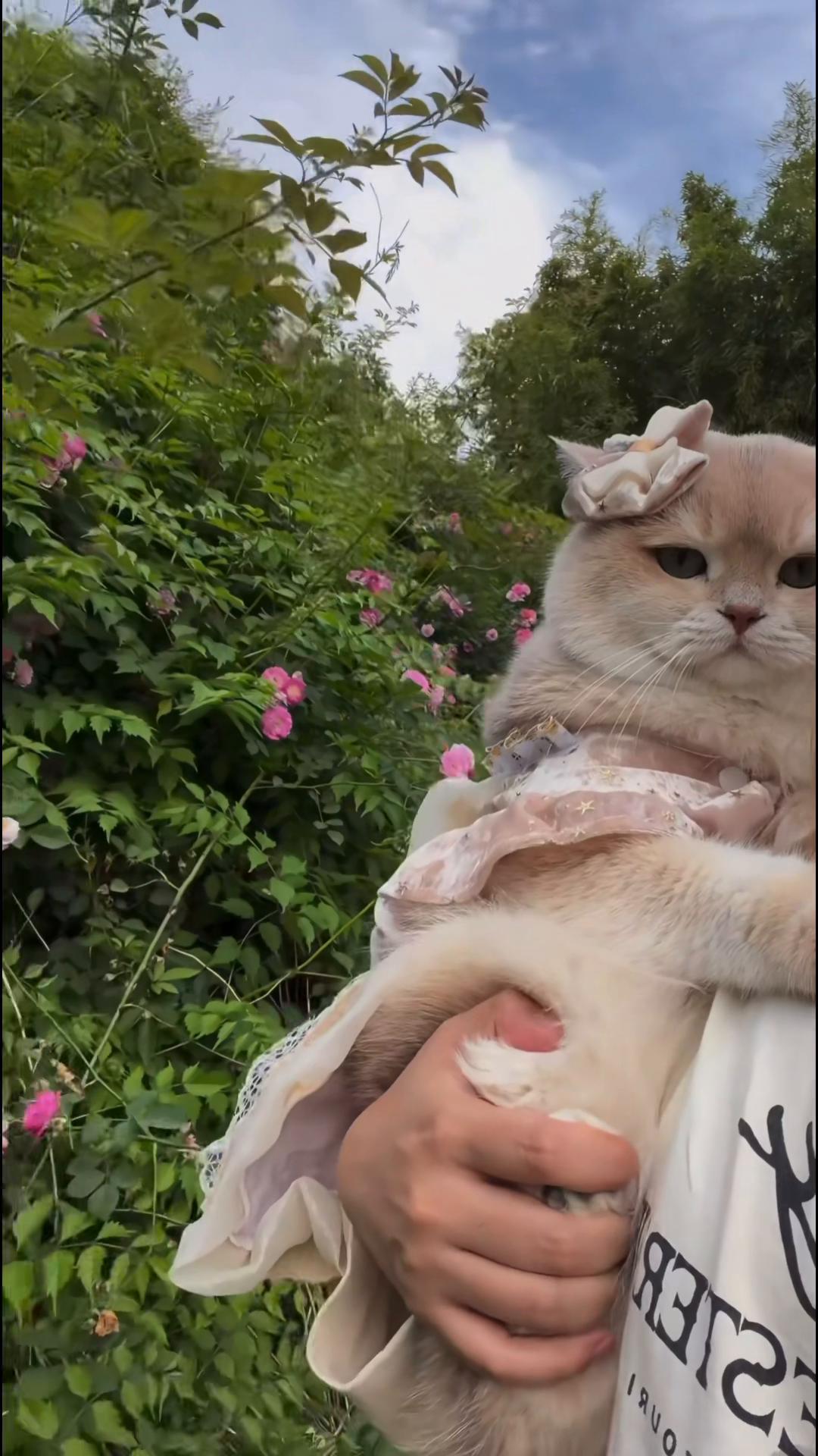 @My Daily Dose of Aww