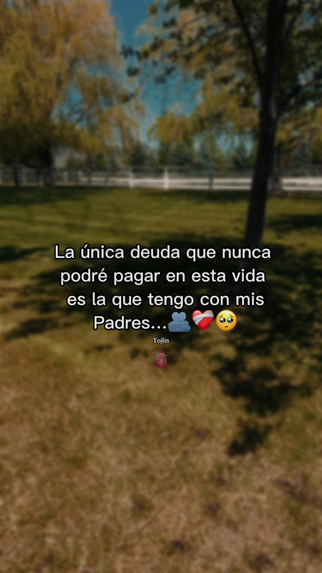 @danipomaoficial