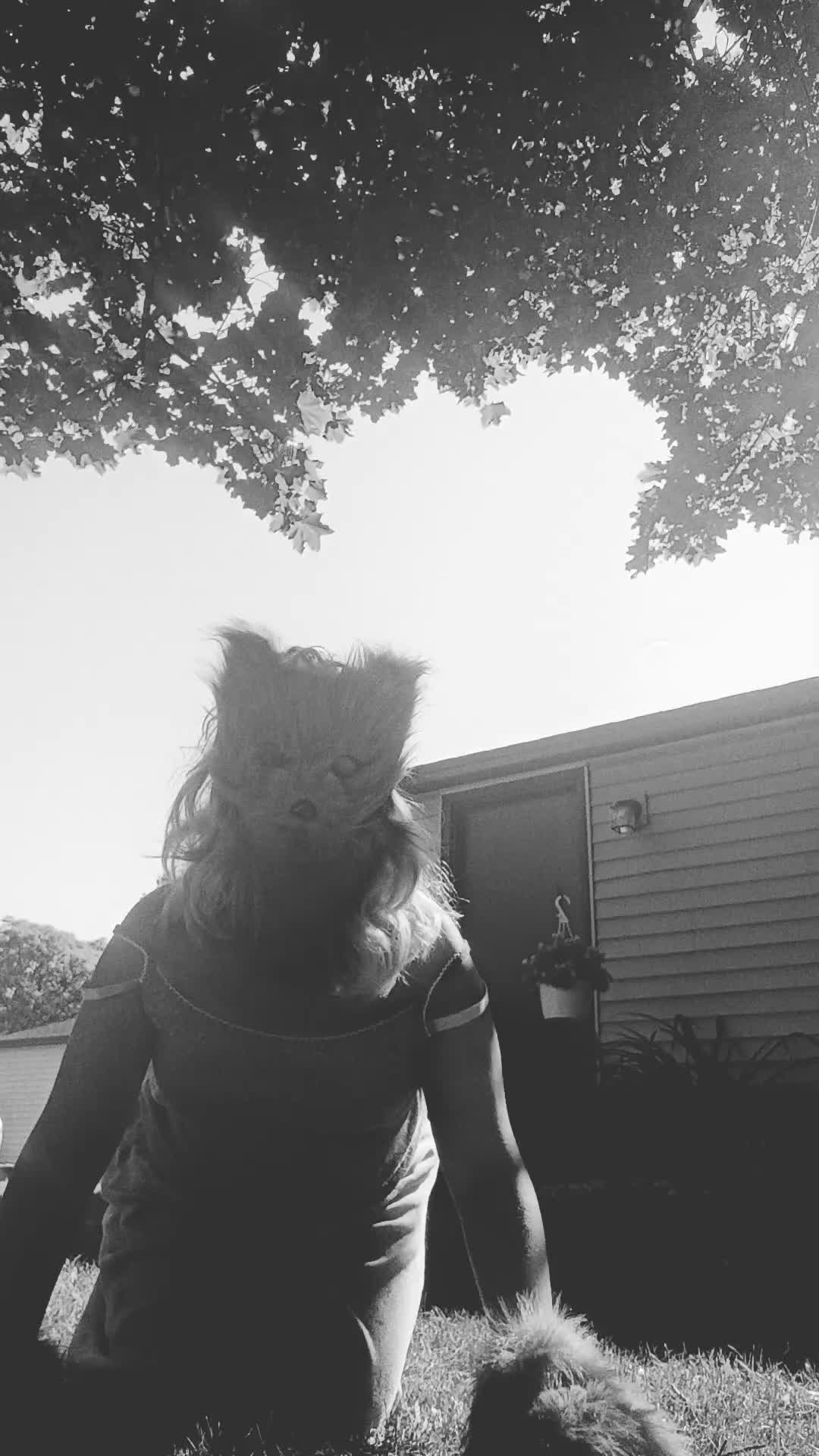 @Lilith Fox 🦊🤍👭