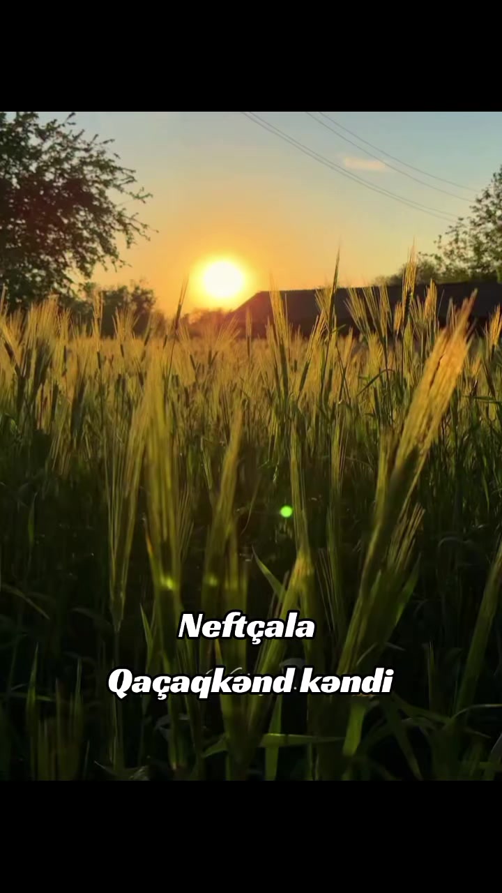 @Bizim_Neft&ccedil;ala