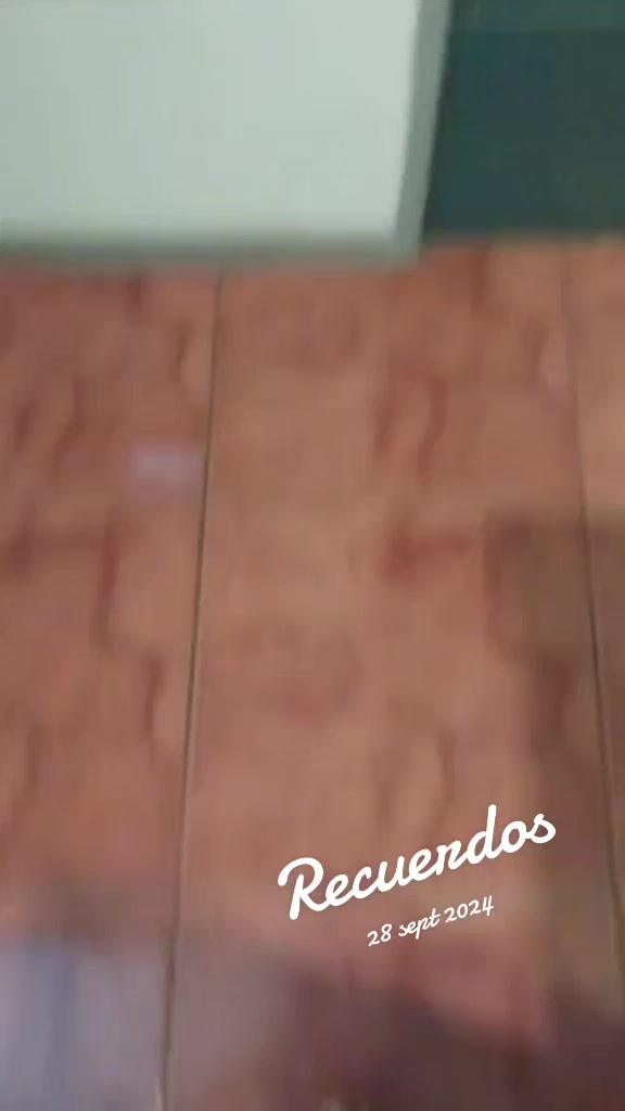 @Daniela Leon463