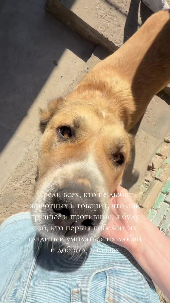 @🤎