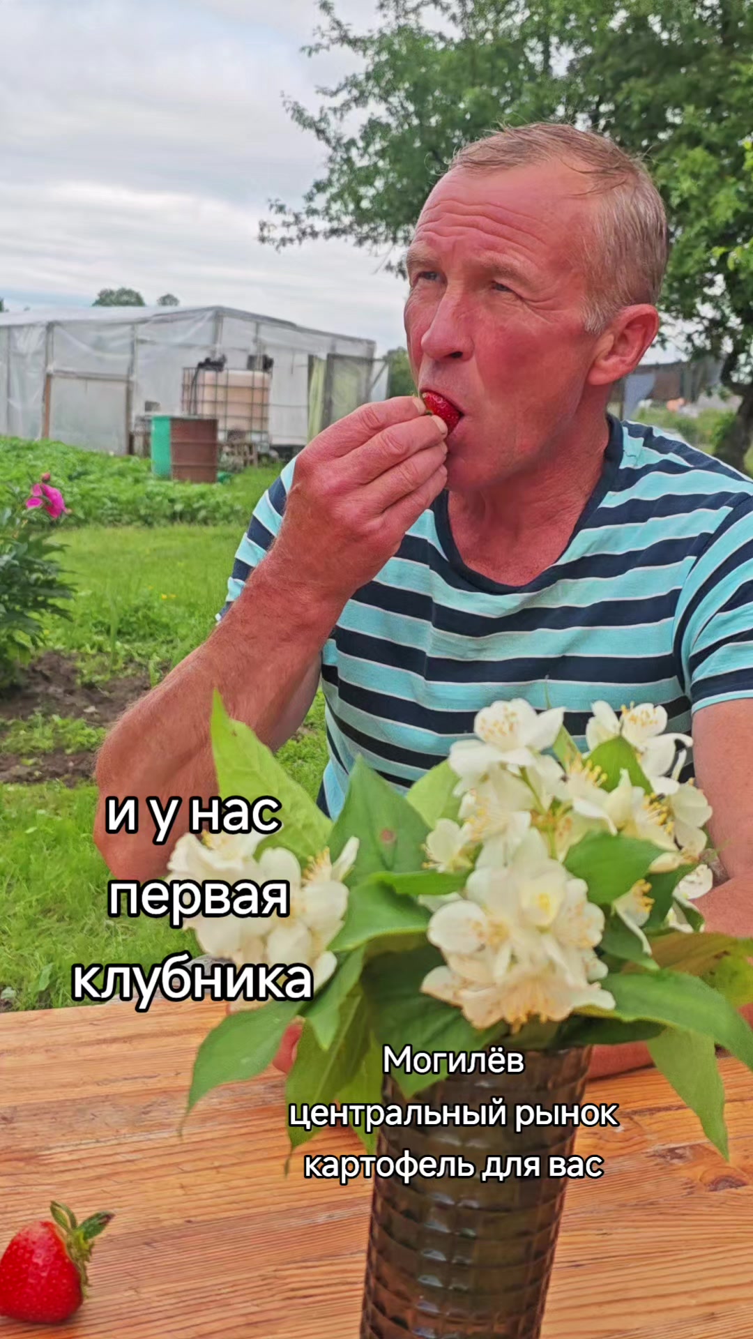 @Картофель Могилёв