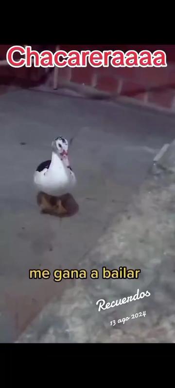 @Oscar Rey