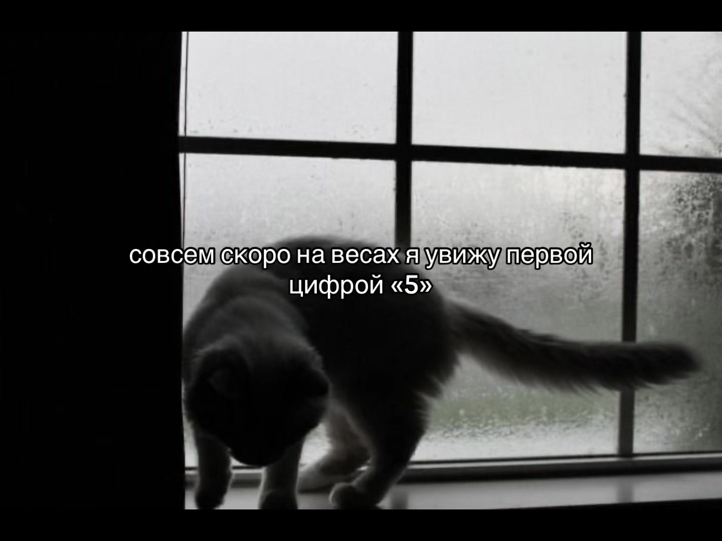@𝒏𝒊𝒈𝒉𝒕𝒎𝒂𝒓𝒆